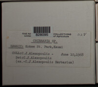 Image Associated With the Occurence